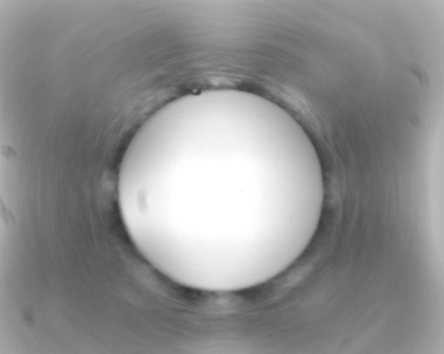 X0000091340321200708101024