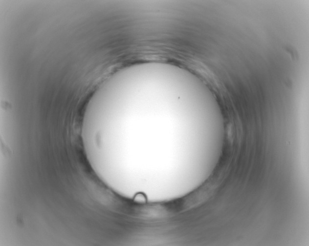 X0000091340322200708101024