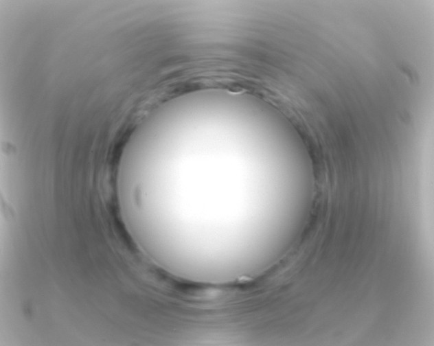 X0000091340323200708101024