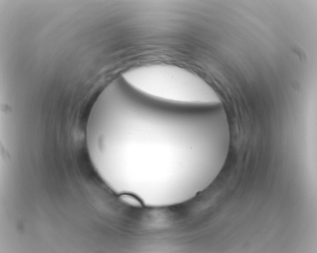 X0000091340324200708101024