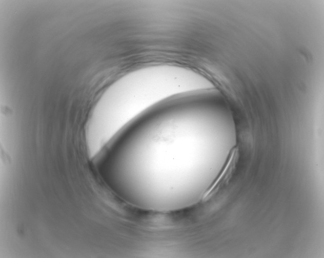 X0000091340325200708101024