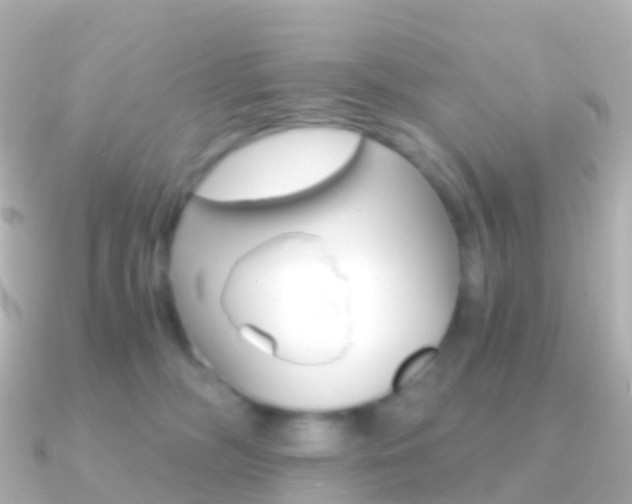 X0000091340326200708101024