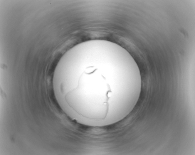 X0000091340327200708101024