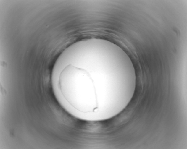 X0000091340328200708101024