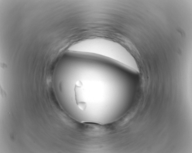X0000091340329200708101024