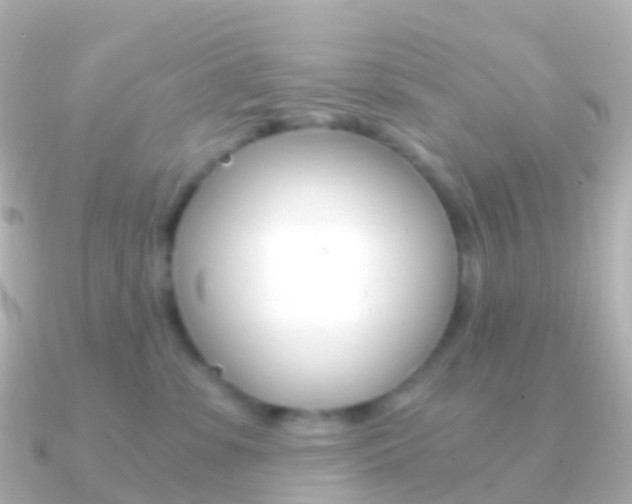 X0000091340331200708101024