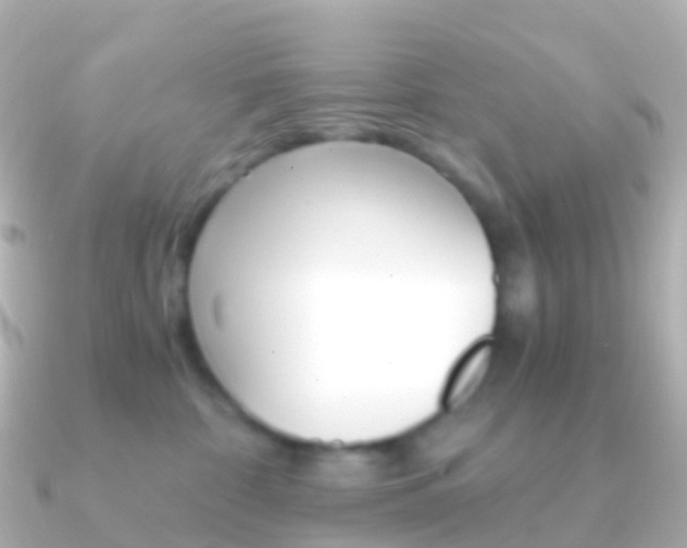 X0000091340332200708101024