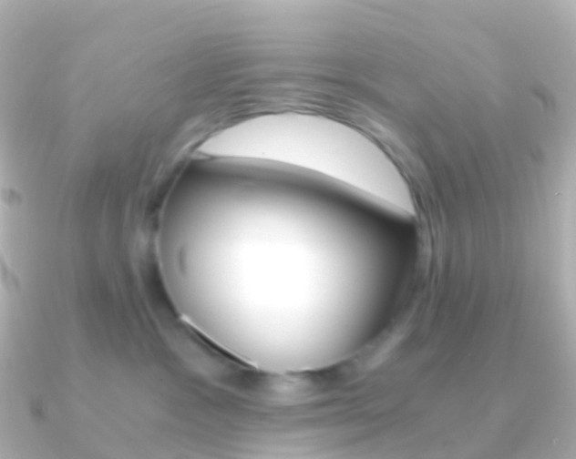 X0000091340333200708101024