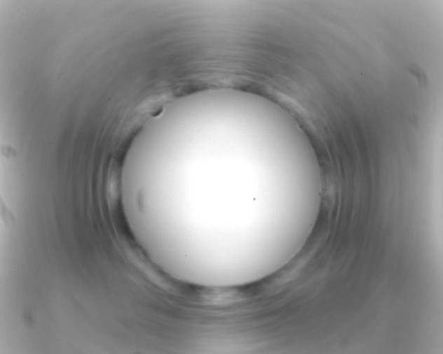 X0000091340334200708101024