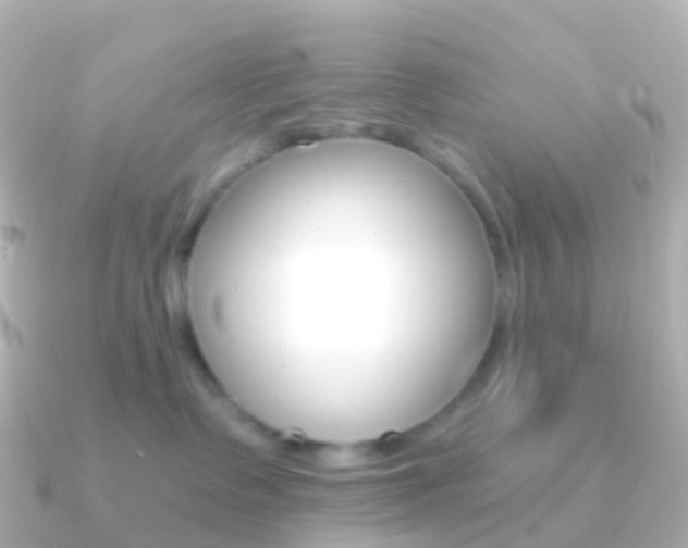 X0000091340335200708101024