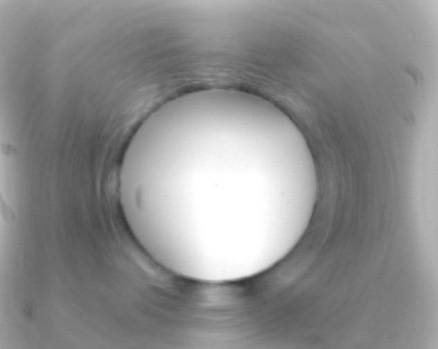 X0000091340336200708101024