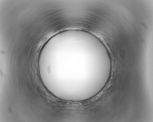 X0000091340337200708101023