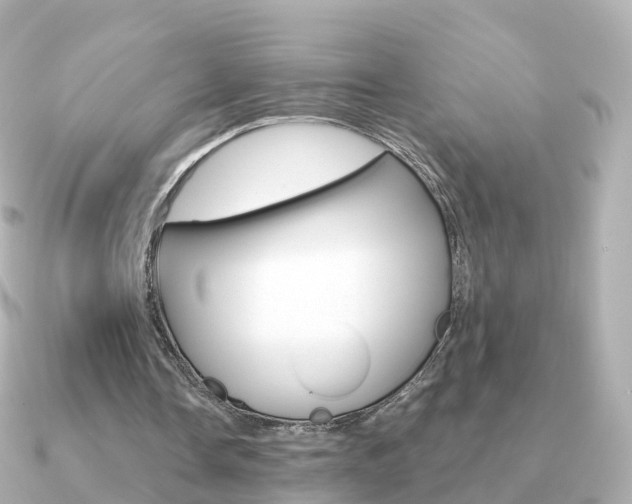 X0000091340338200708101023