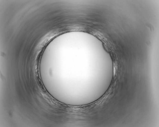 X0000091340339200708101023