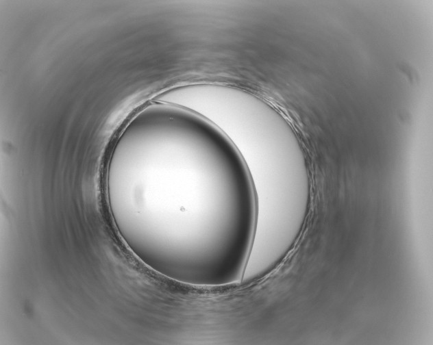 X0000091340340200708101023