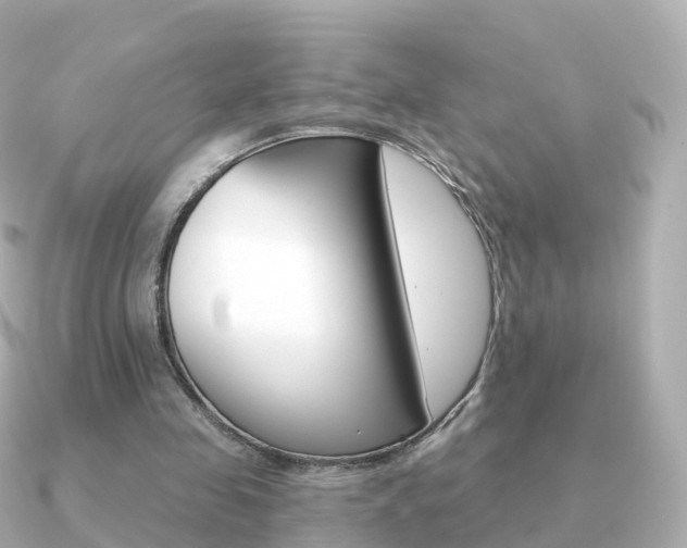 X0000091340341200708101023