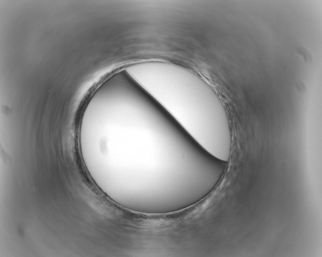X0000091340342200708101023