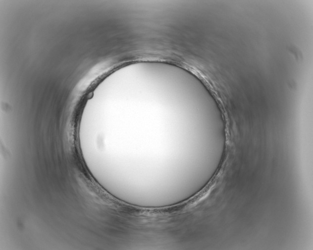 X0000091340343200708101023