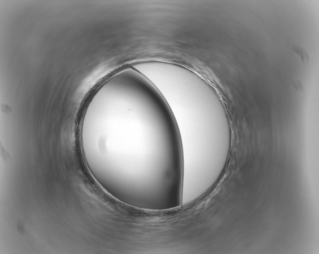 X0000091340344200708101023