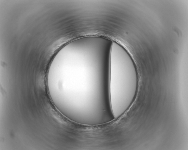 X0000091340345200708101023