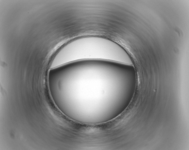 X0000091340348200708101023