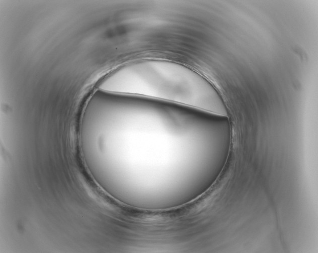 X0000091340349200708101023