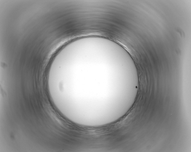 X0000091340350200708101023