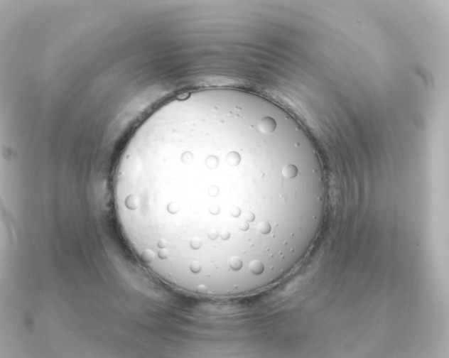 X0000091340351200708101023