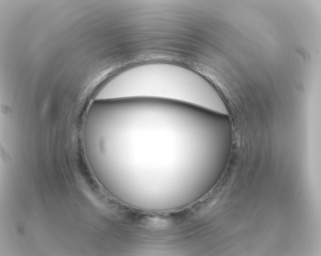 X0000091340352200708101023