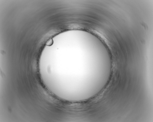X0000091340353200708101023