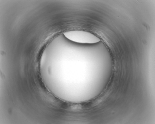 X0000091340355200708101023
