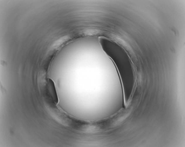 X0000091340356200708101023
