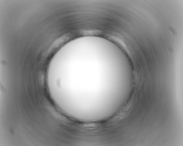 X0000091340357200708101023
