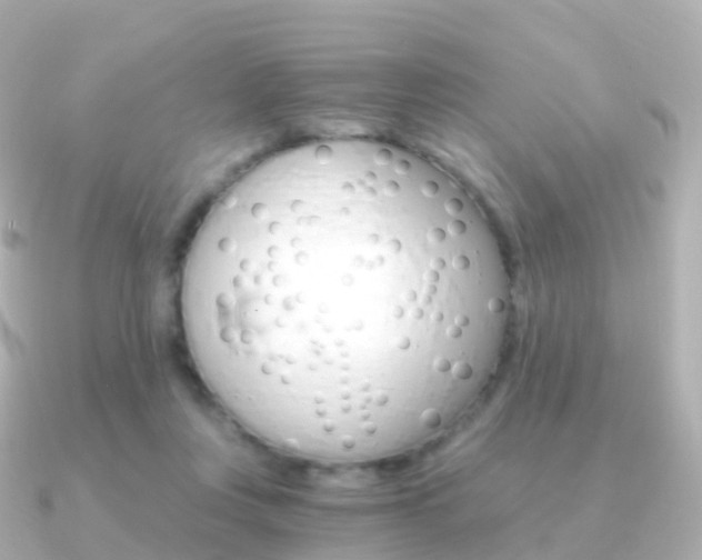 X0000091340359200708101023