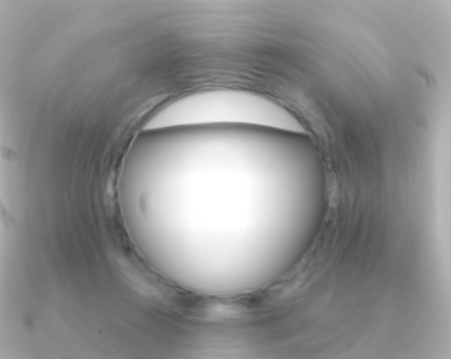 X0000091340360200708101023