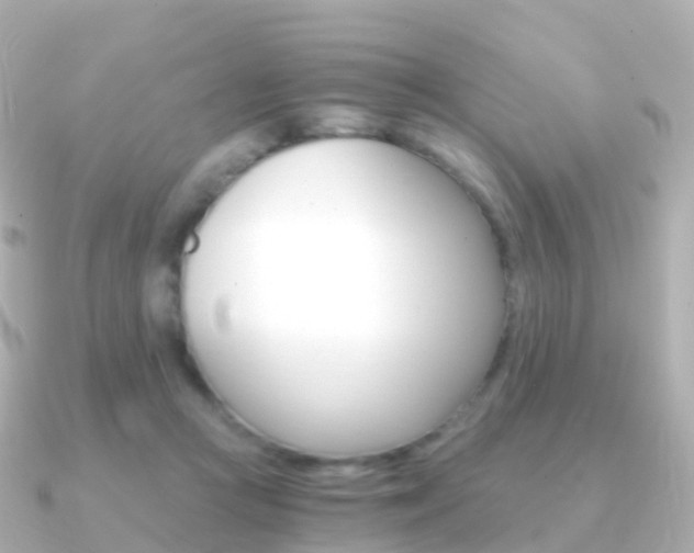 X0000091340361200708101023
