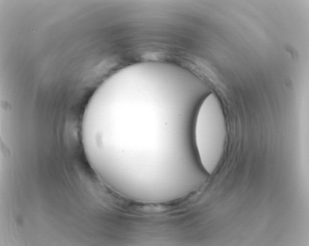 X0000091340363200708101023