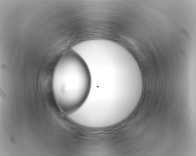 X0000091340364200708101023