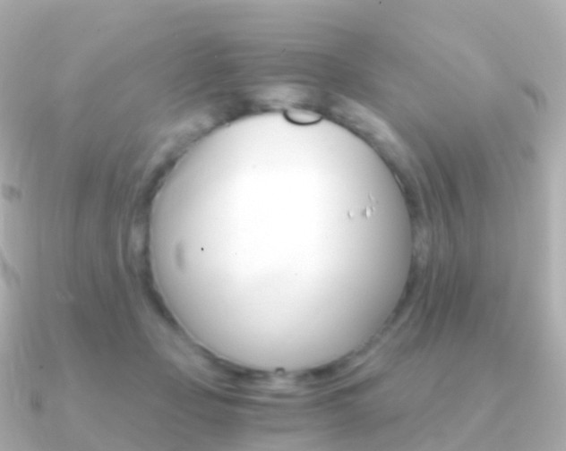 X0000091340365200708101023