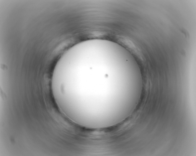 X0000091340366200708101023