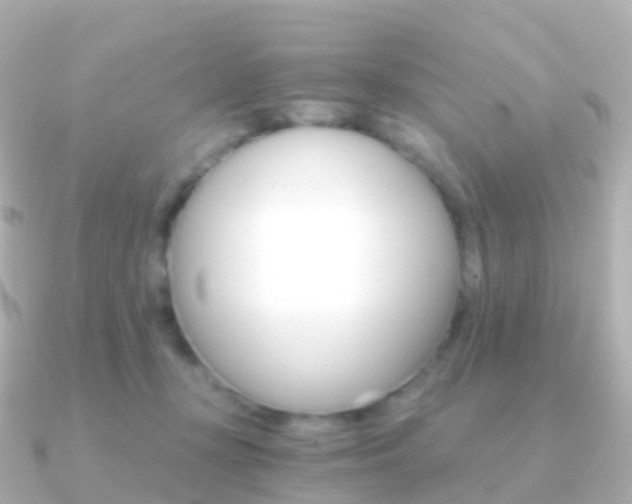 X0000091340367200708101023