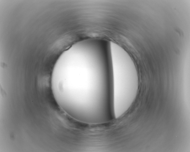 X0000091340368200708101023