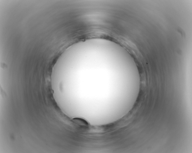 X0000091340369200708101023