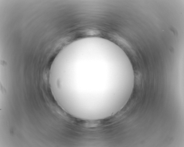 X0000091340373200708101023