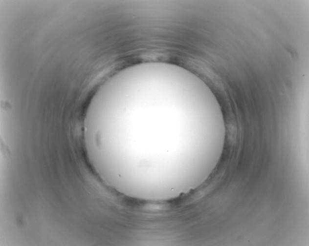 X0000091340375200708101023