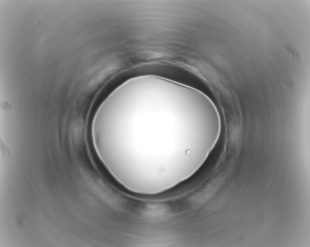 X0000091340376200708101023