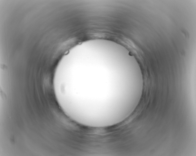 X0000091340377200708101023
