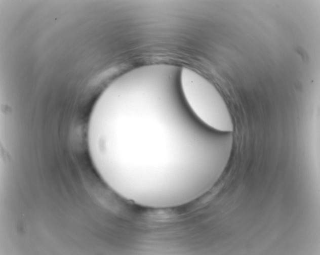 X0000091340378200708101023