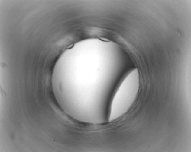 X0000091340379200708101023
