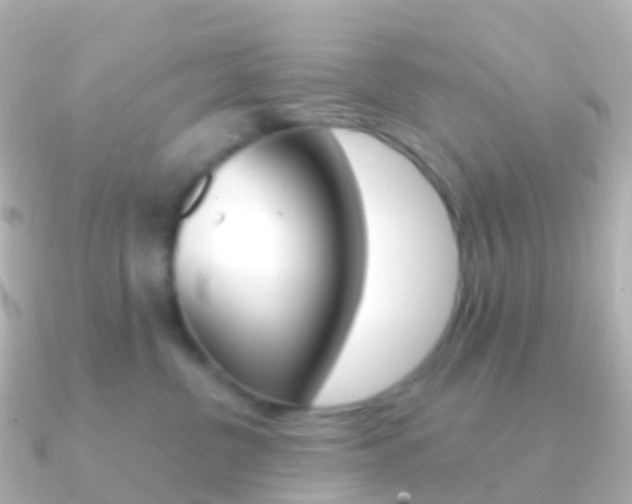 X0000091340380200708101023